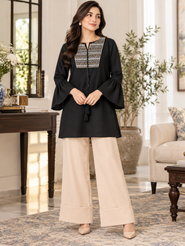 Black Embroidered 2 Piece Set with Beige Trouser by Poshiza, view 1
